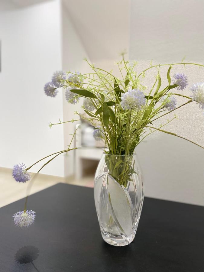 Apartma Azurre Postojna Dış mekan fotoğraf